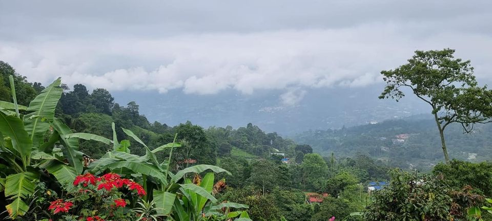 SE VENDE FINCA EN SAN ANTONIO DEL TEQUENDAMA - Imagen 13